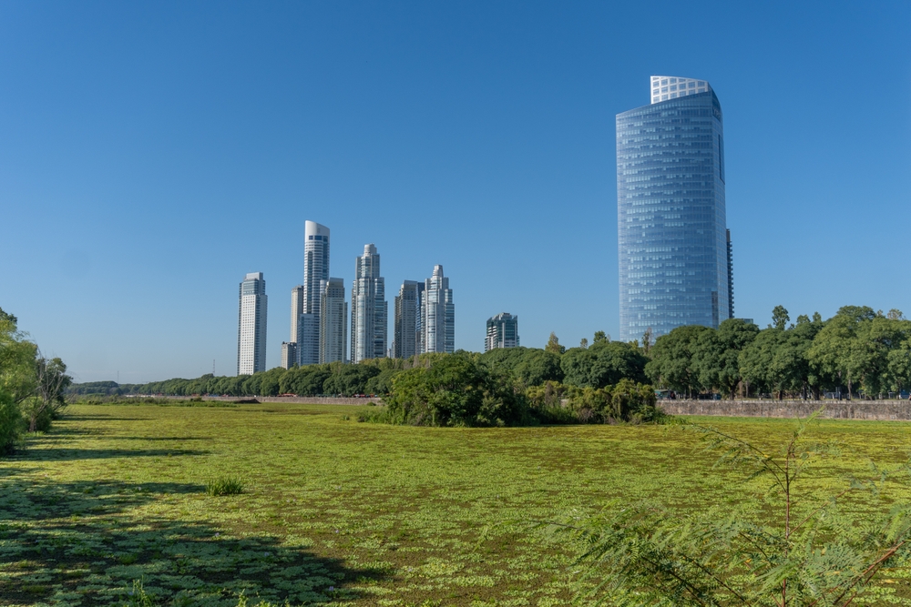 Puerto Madero Waterfront high-rises seen from Reserva Ecológica Costanera Sur park, Buenos Aires, Argentina.