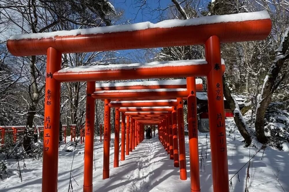 Torii gates in Japan.
