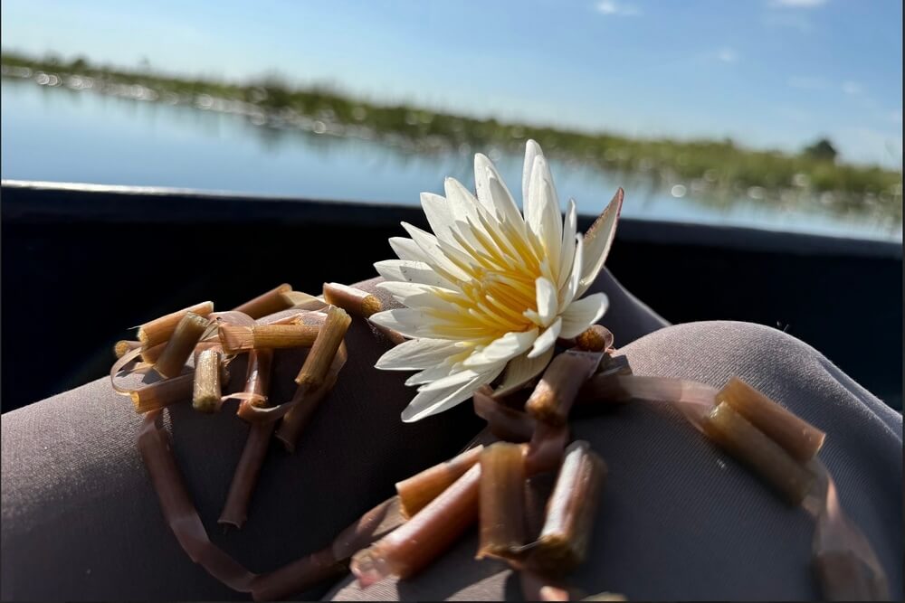 White water lily and reed garland with Botswana’s wetlands in the background.
