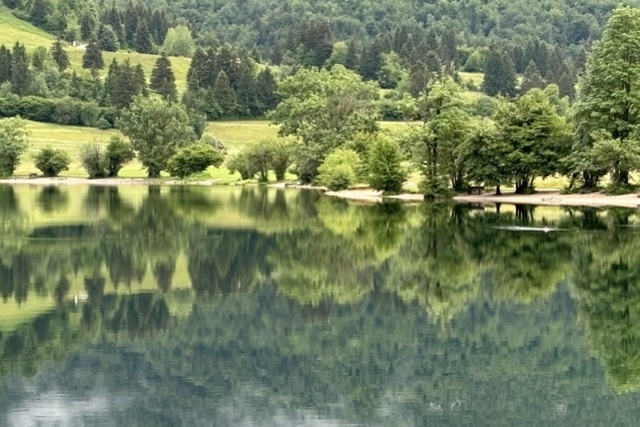 A lake surrounded my trees and mountains in Slovenia.
